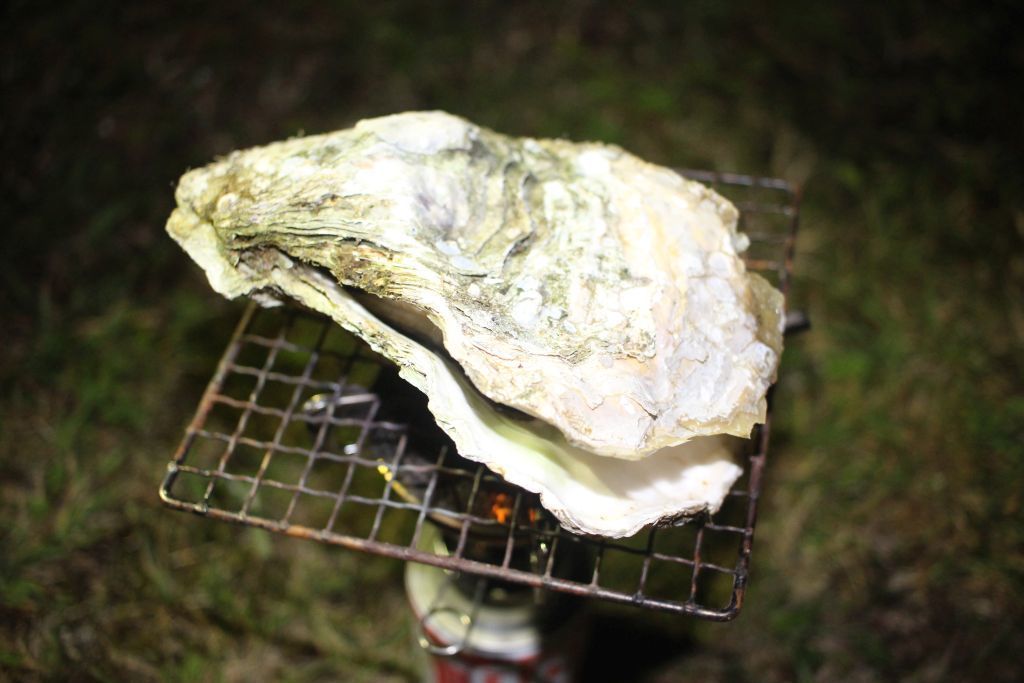 仙鳳趾牡蠣 続 愛しき楕円